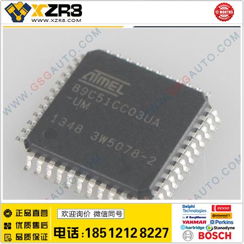 AT89C51CC03U NXP Fix Chip with 1024 Tokens CK-100板含1024点缩略图