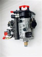 CAV-Delphi-Lucas油泵总成8920A671W德尔福柴油共轨系统-8920A671W缩略图